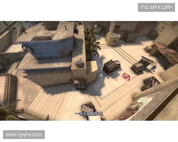 CSGO战术解析：深入探讨BLG团队协作与默契配合的成功之道